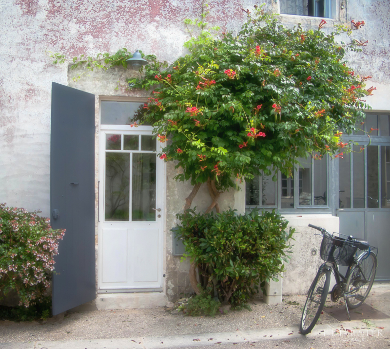 img_9756-modifier-1200