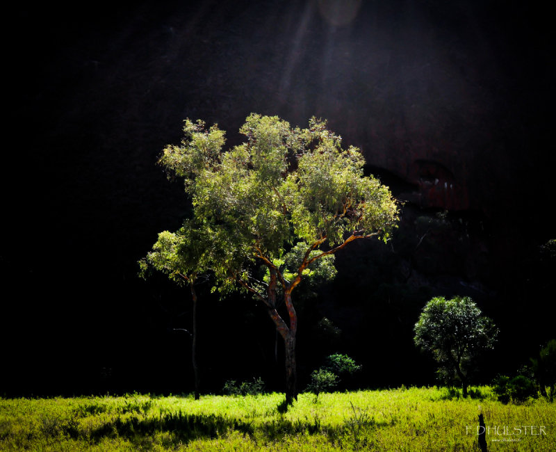 FDH_3626pre 1200