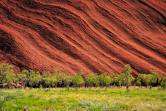 Au-pied-d'Uluru---Australie