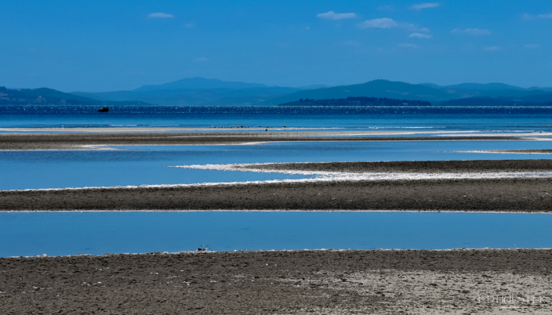 DSC_2907bpre 1200