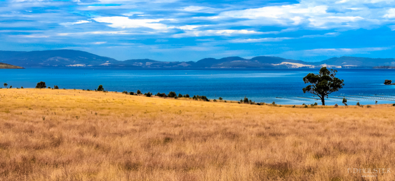 DSC__2853pre 1200