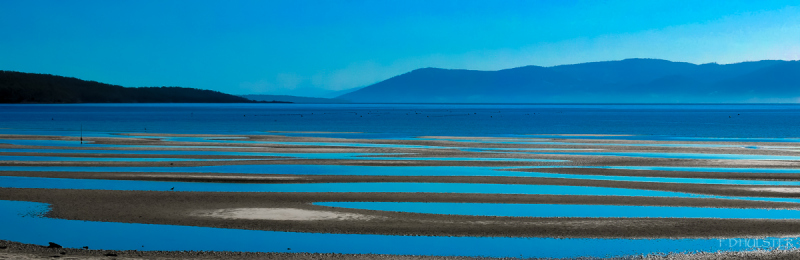 dsc__3134bpre-1200