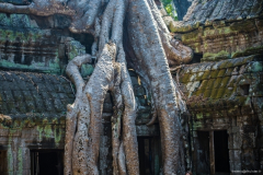 Cambodge---Angkor