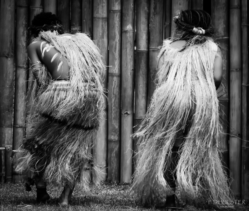 fdh_8236pre-2pre-1200