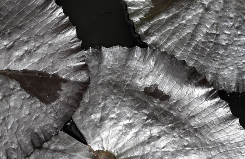 FDH_6208pre_1200_783