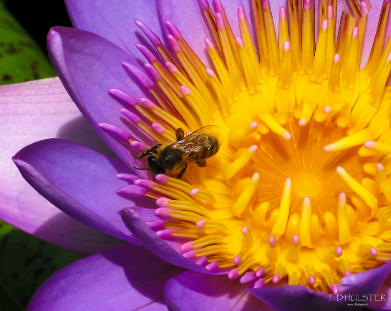 img_3525bprepre-1200