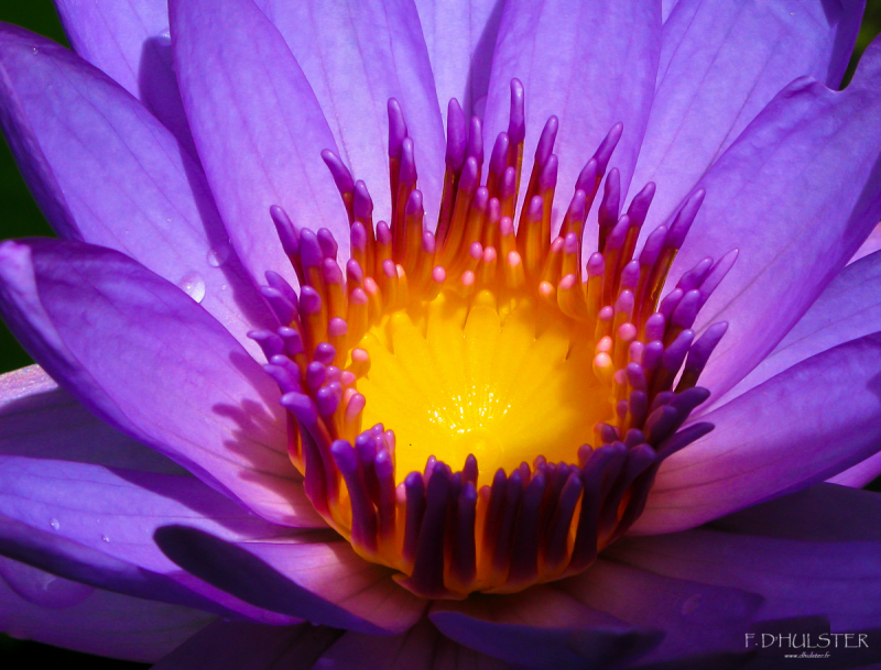 img_3527bprepre-1200