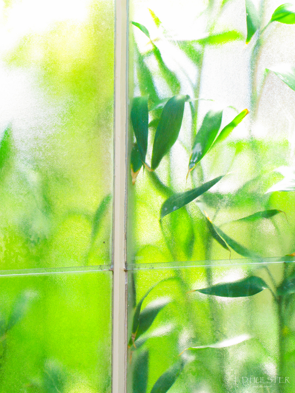 img_7407_prepre-1200