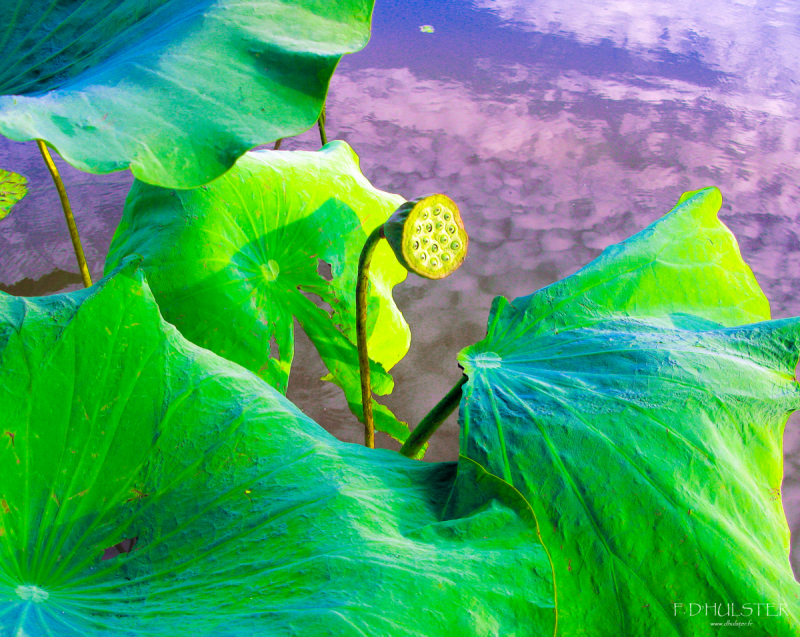 img_8847_prepre-1200