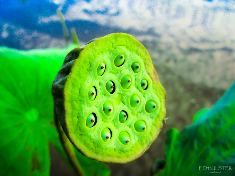 img_8849_prepre-1200