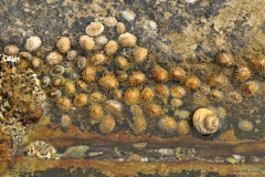 Graphismes-et-textures