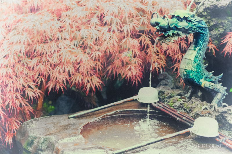 fdh_4109-modifier-1200