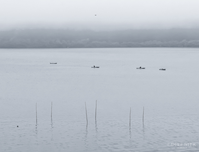 fdh_4670-modifier-1200