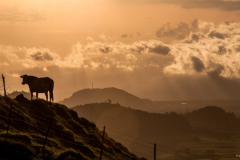 La-Réunion
