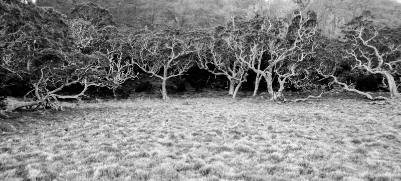 fdh_4479