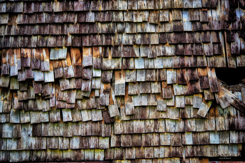 fdh_5370-modifier-1200