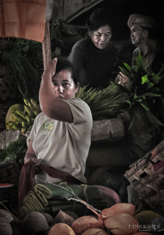 DSC_1751-Modifier 1200