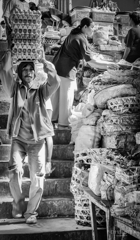 DSC_1758-Modifier 1200