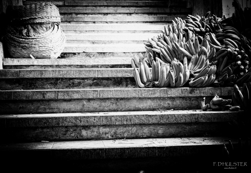 DSC_1766-Modifier 1200