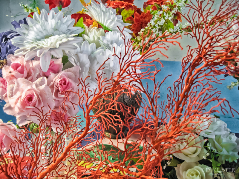 img_2874-modifier-1200