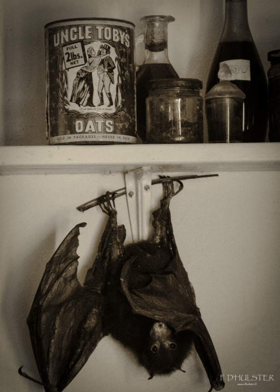 img_3352-modifier-1200