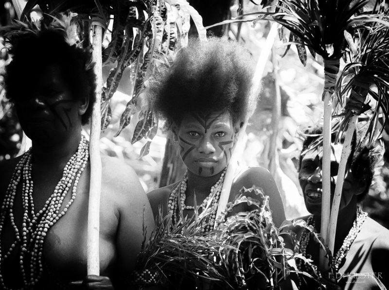 fdh_7313-modifier-1200