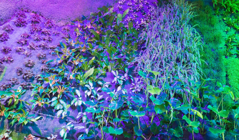 Cité-de-lespace-Toulouse-1200-1