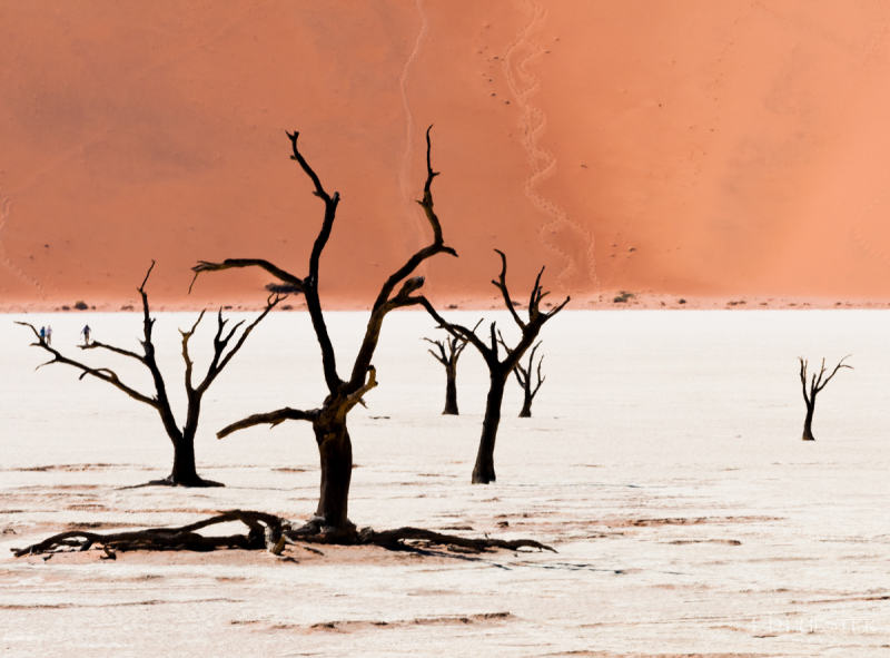 fdh_0194-1200