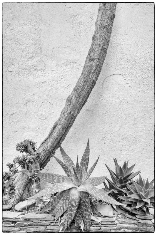 FDH_9552-Modifierpre_801_1200