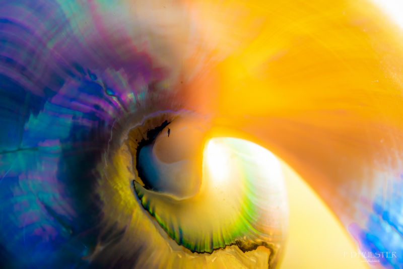 fdh_0333-1200