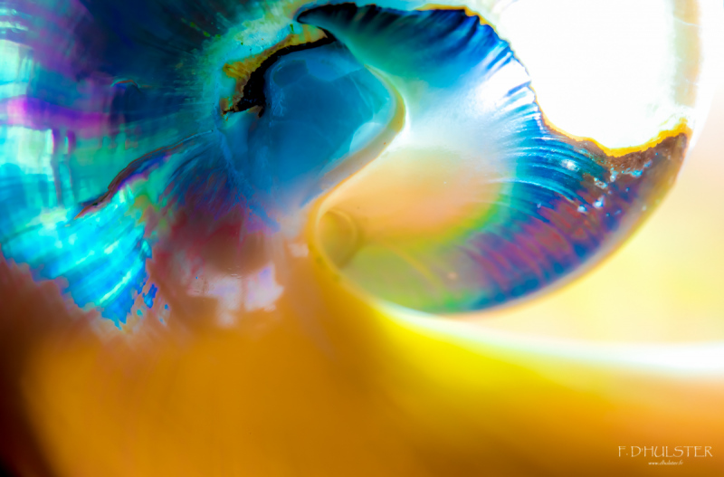 fdh_0445-1200