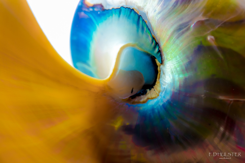 fdh_0448-1200