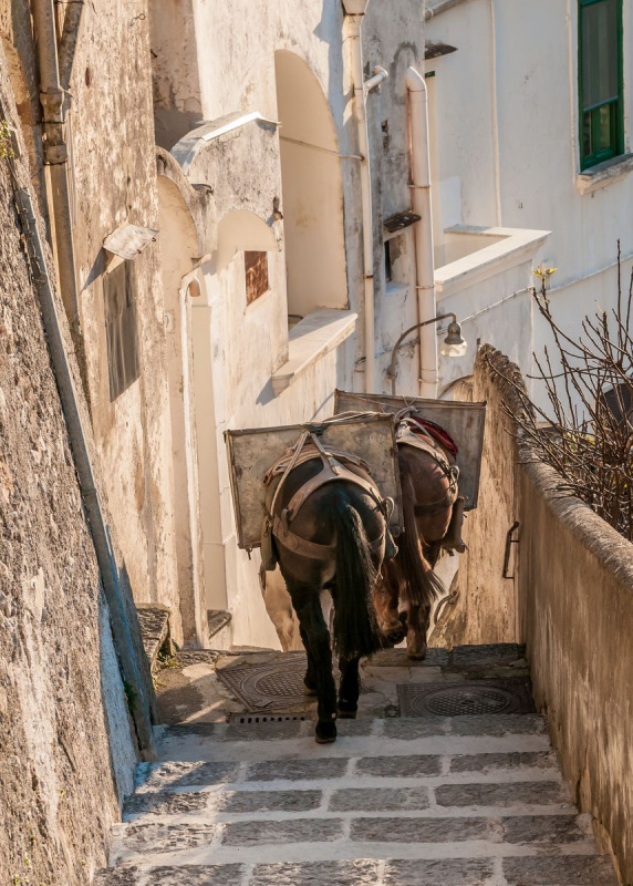 FDH_4228pre3_858_1200