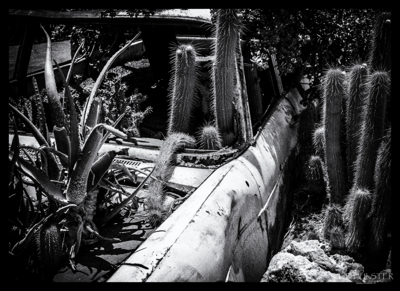 fdh_0389-modifier-1200