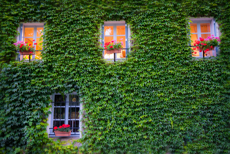 fdh_2202-modifier-1200-2