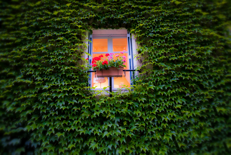 fdh_2203-modifier-1200