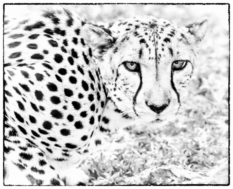 fdh_0976-modifier-1200