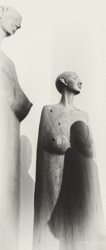 fdh3482-modifier-1200