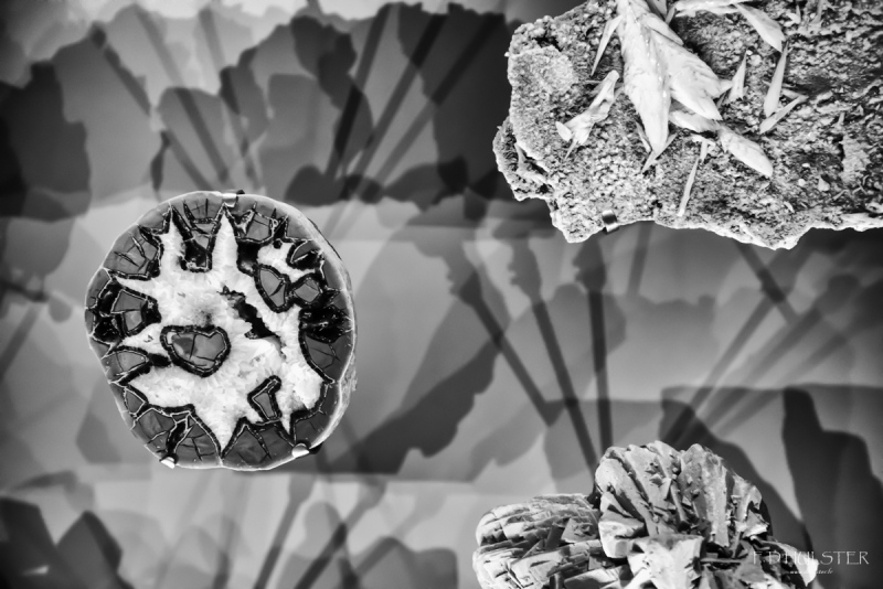 fdh_8070-modifier-1200