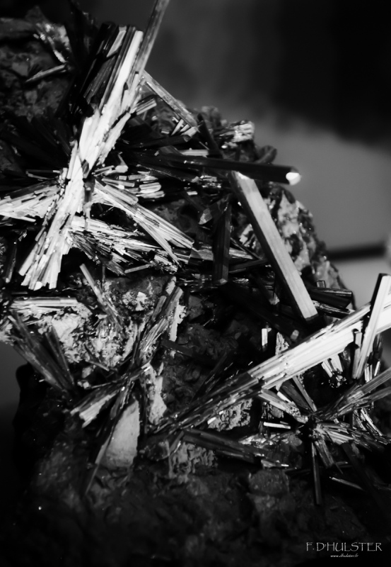 fdh_8075-modifier-1200