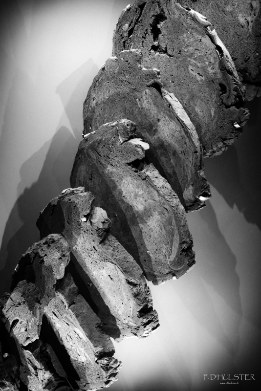 fdh_8078-modifier-1200