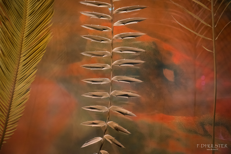 fdh_8104-1200