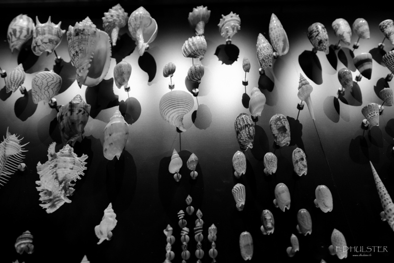 fdh_8115-modifier-1200