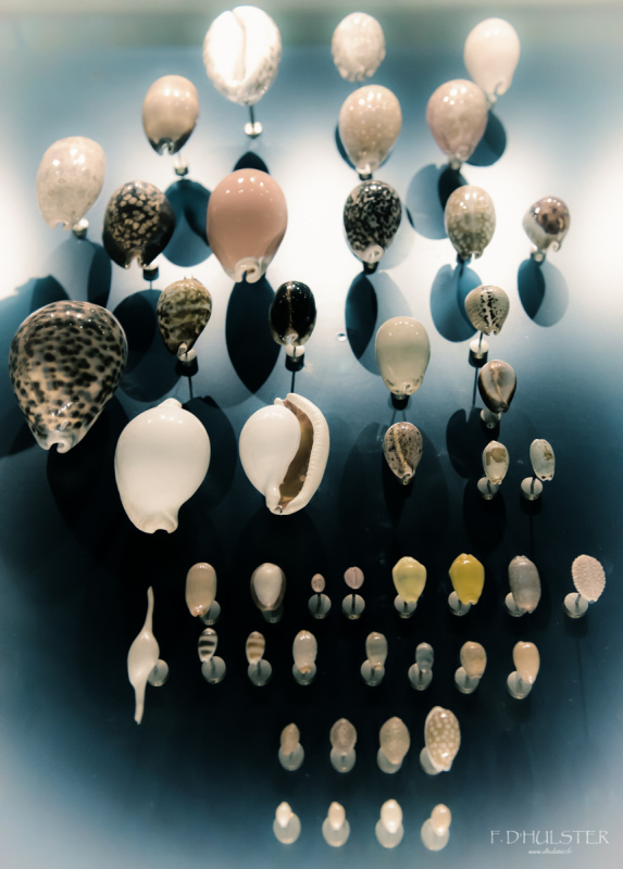 fdh_8116-modifier-1200