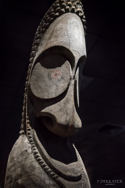 fdh_8125-1200