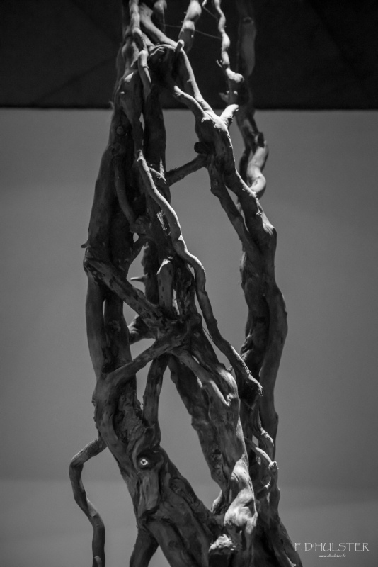 fdh_8141-modifier-1200