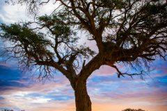 namibie