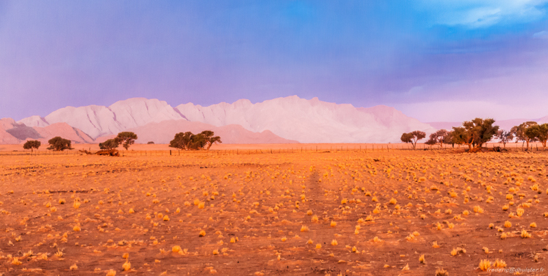 fdh_0000_29-800