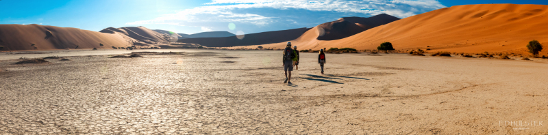 fdh_0030_stitch13-2000