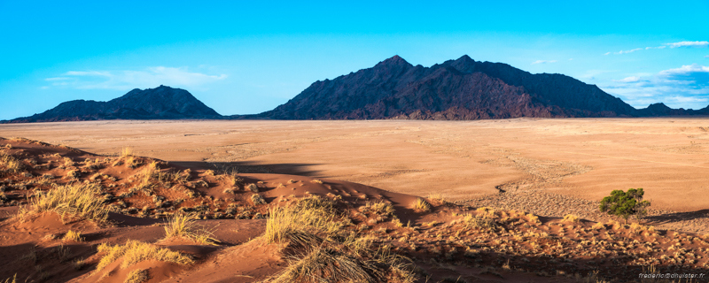 fdh_0296-3_stitch21-800